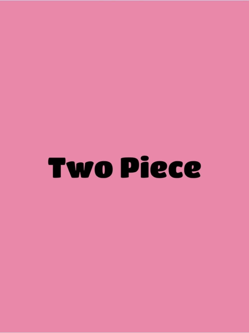 NWT- Two Piece